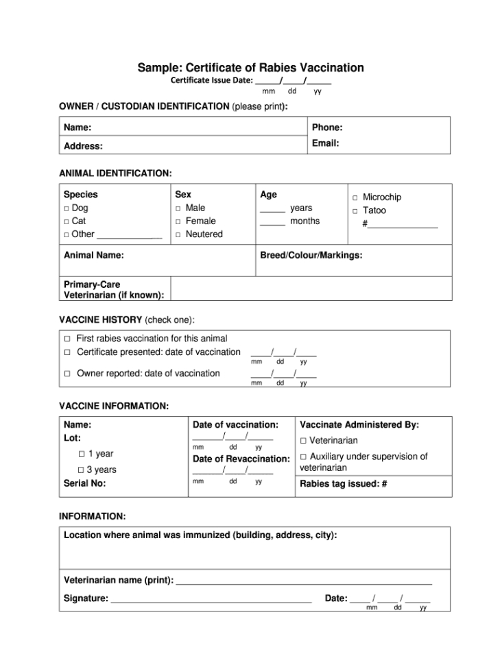 free sample cat vaccination record template sample