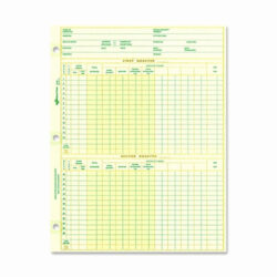 individual payroll record template