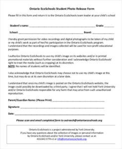 photo release forms template photo and video release form template doc