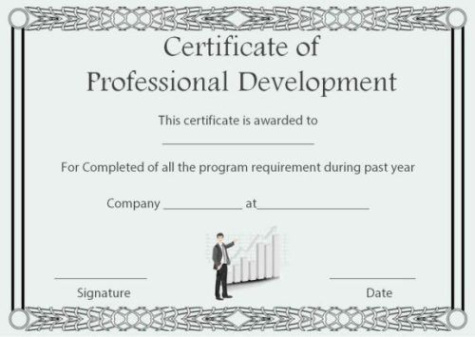 printable continuing professional development record template word