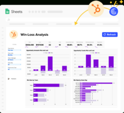 Custom Sales Win Loss Analysis Template Pdf Sample