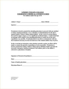 Editable Grandparents Medical Release Form Template Word Sample