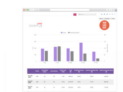 Editable Marketing Campaign Analysis Template  Sample