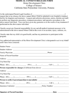 Editable Medical Release Form For Minor Template Word Sample