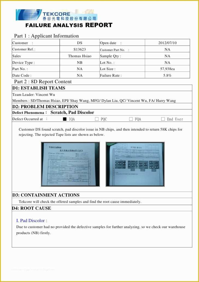 Free Editable Functional Failure Analysis Template