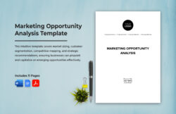 Free Editable Market Opportunity Analysis Template Doc Sample