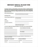 Free  Emergency Room Release Form Template Pdf Sample