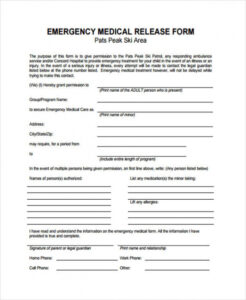 Free  Emergency Room Release Form Template Pdf Sample