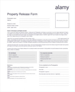 Free  Intellectual Property Release Form Template Excel Sample