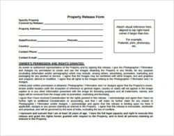 Free  Intellectual Property Release Form Template Pdf Sample