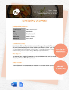 Free  Marketing Campaign Analysis Template  Sample